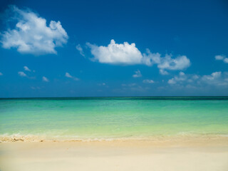 Fototapeta premium Generated image