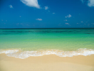 Fototapeta premium Generated image