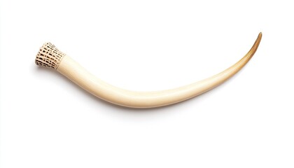 Elegant ivory horn with intricate carving, isolated on white background, showcasing craftsmanship and detail