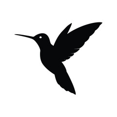 A hummingbird hovering vector illustration
