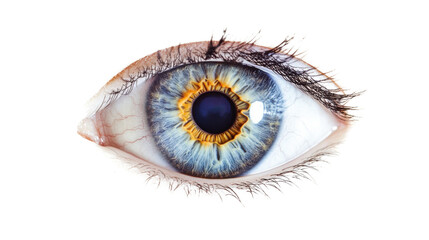 Graphic eyes in blue on transparent background