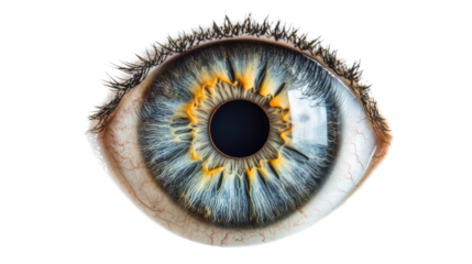 Graphic eyes in blue on transparent background