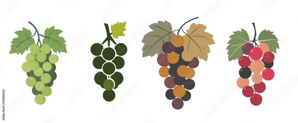 Aufkleber an illustration showing four different colored bunches of grapes each with leaves attached.