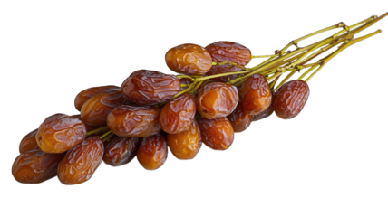 Fresh dates bunch isolated on black background, ready to eat
