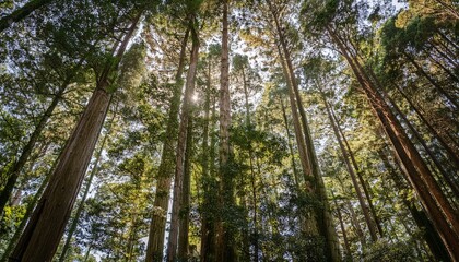 Naklejka premium Every leaf tells a story of life. 