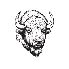 head of a bull © HardWork