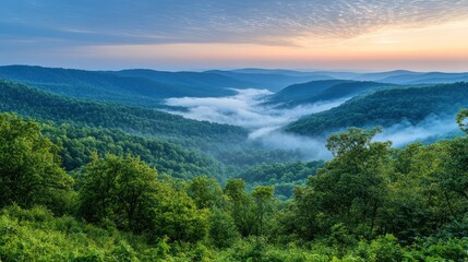 Obraz premium Serene sunrise over misty mountain valley.