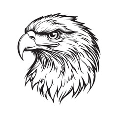 head of eagle