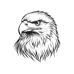 eagle head isolated on white