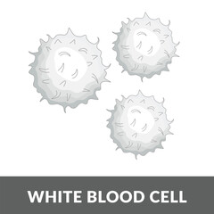 White blood cells Illustration Design vector