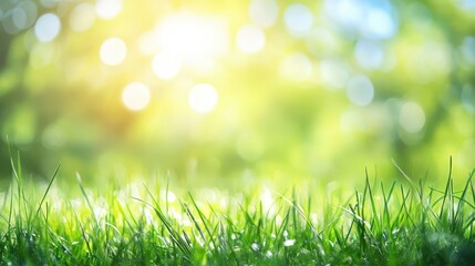 Obraz premium Bright and Bokeh-Lit Field of Tall Grass with Soft Blur in the Background, Capturing the Essence of Nature's Beauty in Warm Light