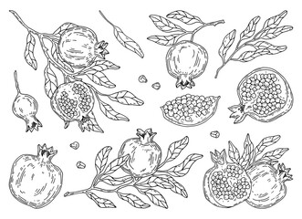 Hand-painted set of pomegranate fruit and leaves. 