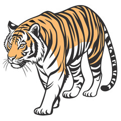 Obraz premium Majestic Sumatran Tiger on a Clean White Background in Stunning High Detail