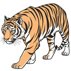 Obraz premium Majestic Sumatran Tiger on a Clean White Background in Stunning High Detail