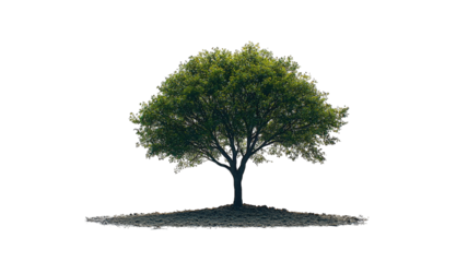 Illuminated tree on small island, dark background, digital art