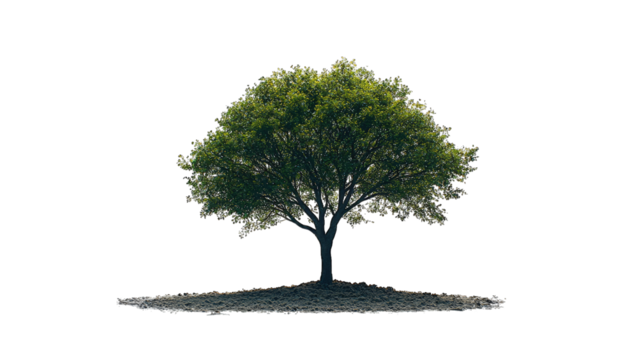 Illuminated tree on small island, dark background, digital art