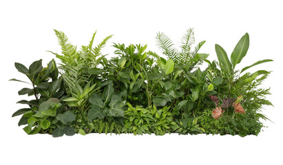 Vertical Green Wall with Lush Tropical Plants