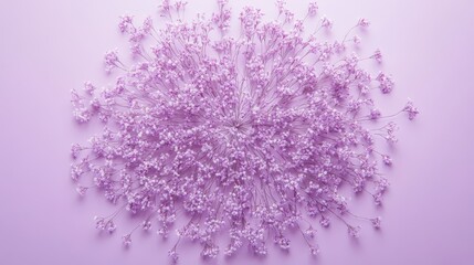 Fototapeta premium Purple Flowers Arranged in a Circular Pattern
