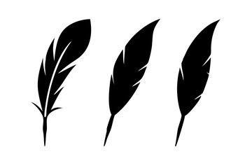 set of feathers