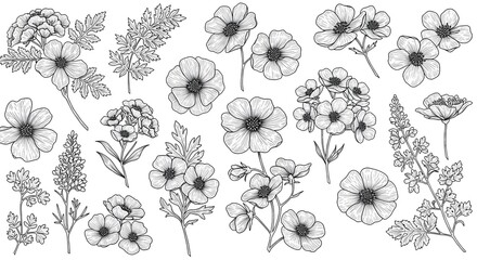 Monochromatic floral illustrations with delicate linework, black and white theme