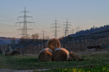 Barn in the field