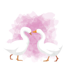 White Goose Bird Valentines Day Animal Symbol of Love Postcard Watercolor Vector Illustration