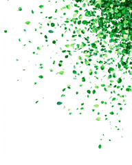 Freshly fallen coriander leaves isolated on a white background, PNG image. 