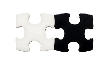 Obraz premium Two puzzle pieces, white and black, fitting together