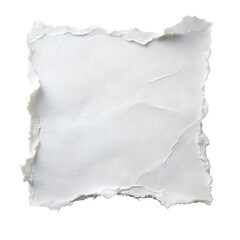 Fototapeta premium white ripped paper, torn edges strips cut out