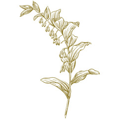 Botanic set of detailed various flowers and brunch. Luxury vintage floral collection for wedding invitation, wallpaper art or save the date card. Botanical vector illustration