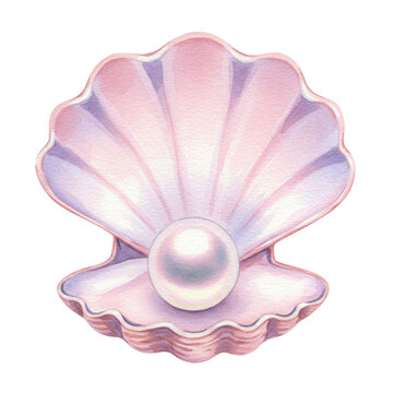 Pink Shell Watercolor Pearl Illustration Elegant Design Romantic Ocean Theme Seashell Artwork Pastel