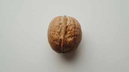 A Single Walnut Shell On A White Background