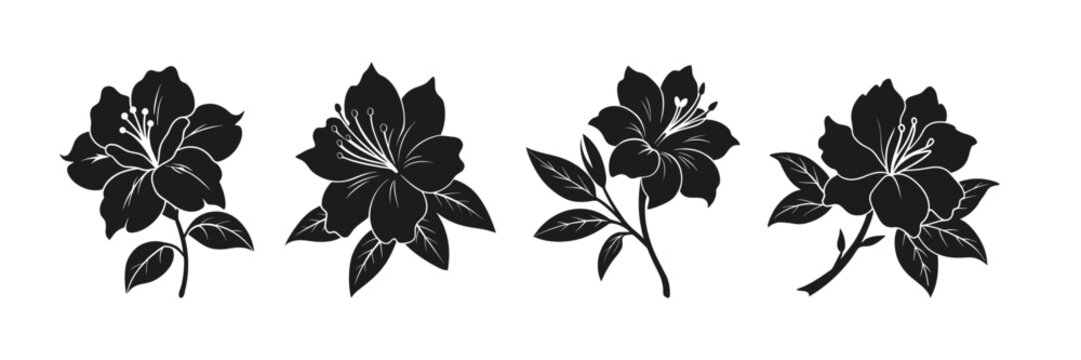 Set of azalea silhouettes vector illustration on white background