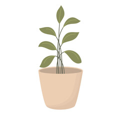 Home Plants for Decoration. House Plants Illustration