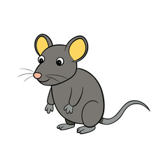 Cute rat with white background.
