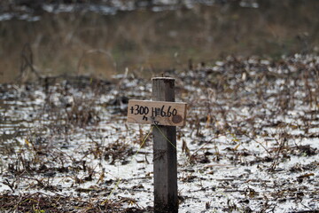 筑後広域公園の風景