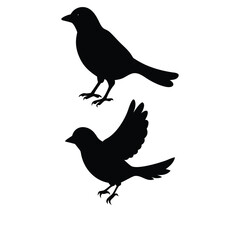 Obraz premium Silhouette of black sparrow perched with outspread wings