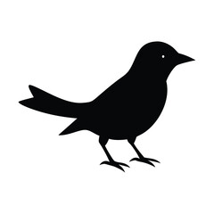 Obraz premium Silhouette of black sparrow perched with outspread wings