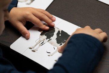 a toddler young boy putting together of a cow