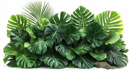 Fototapeta premium Tropical Palm, Monstera, and Hanging Plants Isolated on White Background with Clipping Path, Perfect for Clean and Minimalist Designs