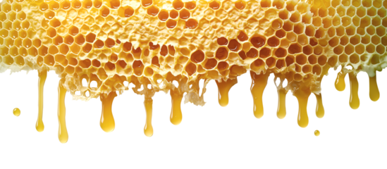 Honeycomb beeswax with honey dripping drip on transparent background cutout PNG file. Mockup template for artwork. Wallpaper banner border