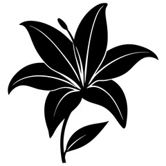 Silhouette of a lily with graceful, elongated petals, contrasting