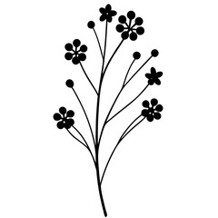 Silhouette of a wildflower stem with small blossoms
