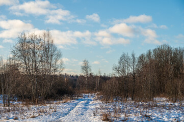 The winter snow dirt road in the forest.