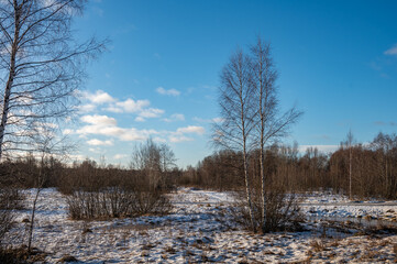 The winter snow dirt road in the forest.