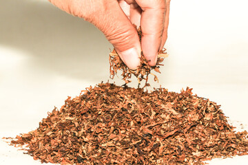 tobacco on white