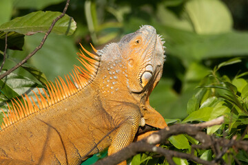 Pictures taken while in Costa RIca