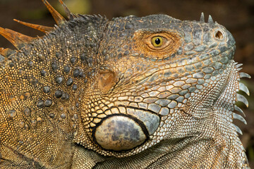 Pictures taken while in Costa RIca