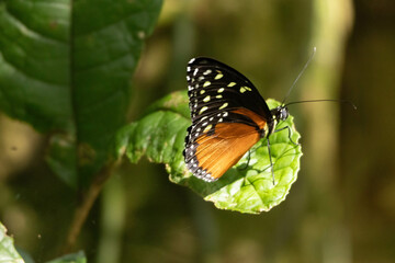 Pictures taken while in Costa RIca