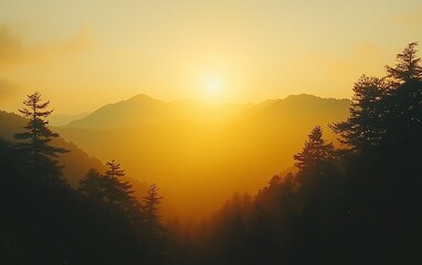 Naklejka premium Golden sunset over hazy mountain range silhouetted by dark evergreen trees.